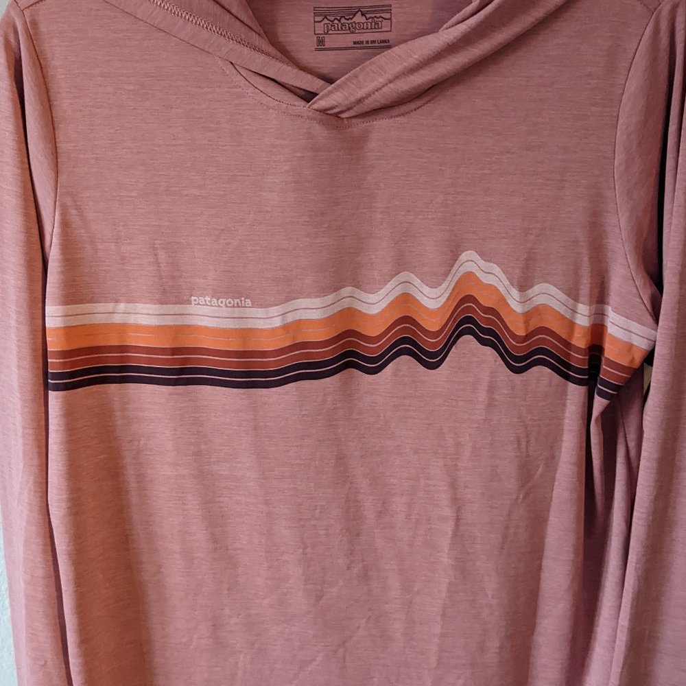 Patagonia graphic T, lightweght hoodie, Womens Medium